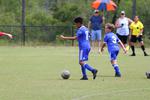 IMG_0210 (cam 0)