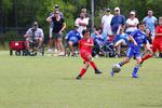 IMG_0244 (cam 0)