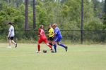 IMG_0248 (cam 0)