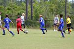 IMG_0415 (cam 0)