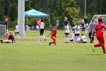 IMG_0419 (cam 0)