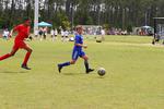 IMG_0442 (cam 0)