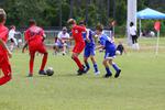 IMG_0471 (cam 0)