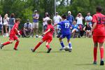 IMG_0479 (cam 0)