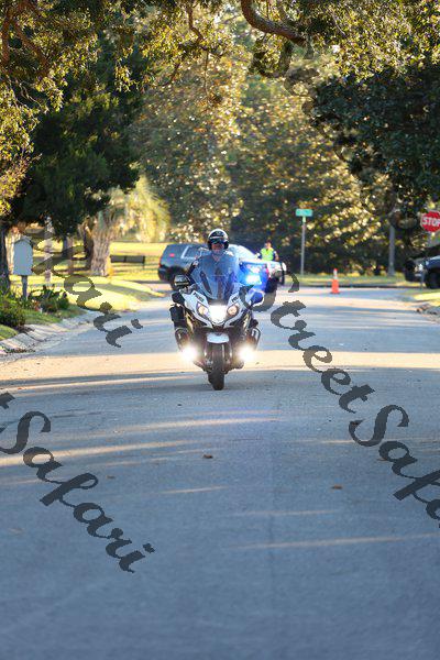 Pumpkin Run