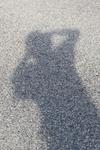 IMG_1664 (cam 2)