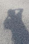 IMG_1665 (cam 2)