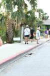 IMG_0800 (cam 3)