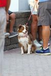 IMG_0022 (cam 6)