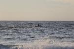 IMG_0033 (cam 6)