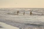 IMG_0042 (cam 6)