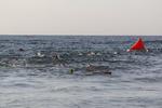 IMG_0153 (cam 6)