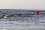 IMG_0155 (cam 6)