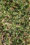 IMG_0903 (cam 2)