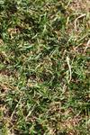 IMG_0904 (cam 2)