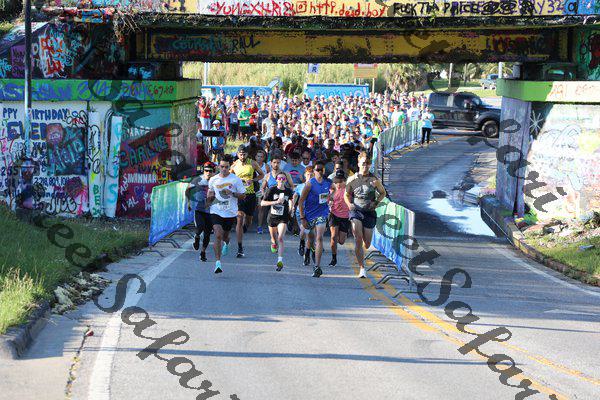 Graffiti Bridge 5K