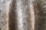 IMG_0057 (cam 4)