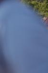 IMG_7359 (cam 1)