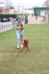 IMG_5595 (cam 1)
