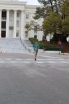IMG_2933 (cam 2)