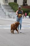 IMG_5446 (cam 2)