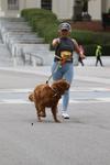 IMG_5447 (cam 2)