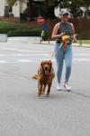 IMG_5453 (cam 2)