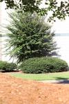 IMG_2233 (cam 2)