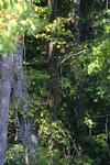 IMG_2279 (cam 2)