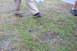 IMG_1167 (cam 1)
