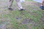 IMG_1168 (cam 1)