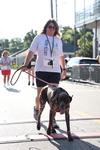 IMG_2606 (cam 1)